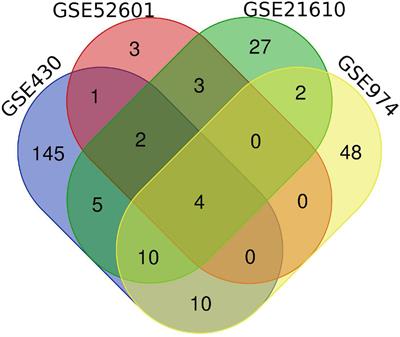 Left ventricular assist device bioinformatics identify possible hubgenes and regulatory networks involved in the myocardium of patients with left ventricular assist device